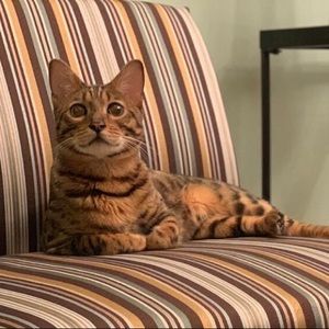 Meet your Posher, Alicia